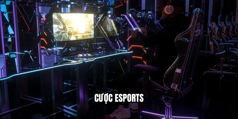 Cược Esports