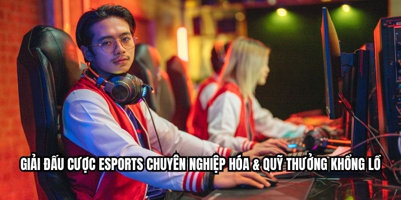 Giải đấu cược esports chuyên nghiệp hóa & quỹ thưởng khổng lồ