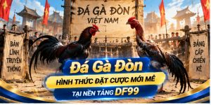 Đá Gà Đòn - Hình Thức Đặt Cược Mới Mẻ Tại Nền Tảng DF99