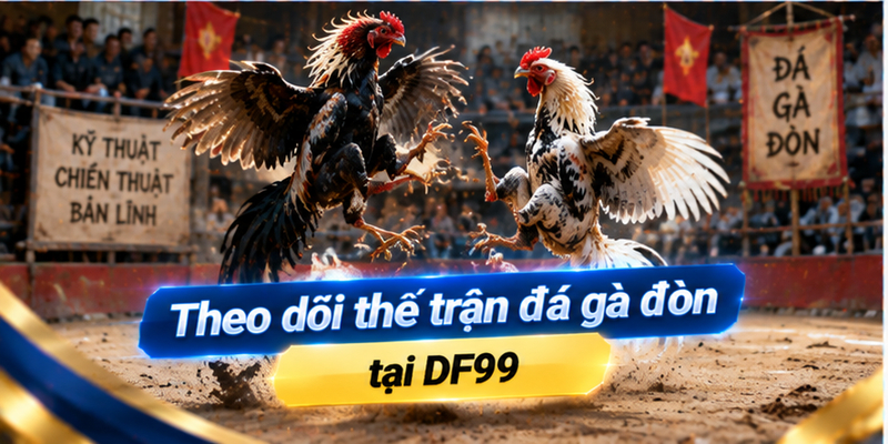Theo dõi thế trận đá gà đòn tại DF99