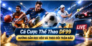 Cá Cược Thể Thao DF99 - Hướng Dẫn Đọc Kèo Và Theo Dõi Trận Đấu